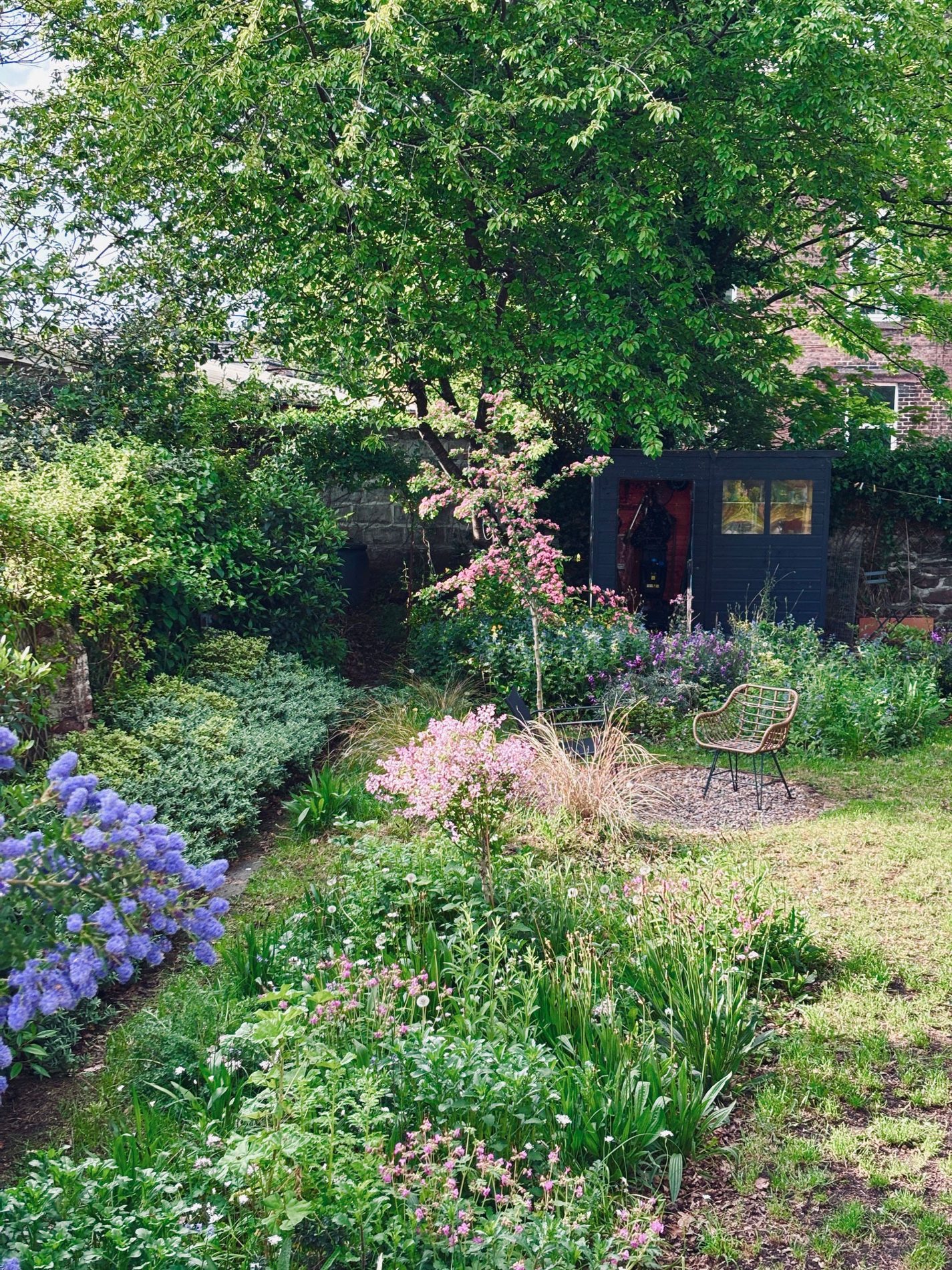 Flowering borders, lawn and mature trees in the garden